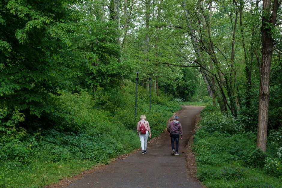 A Balanced Approach To Wellness: A Simple, Practical Guide — Part 5