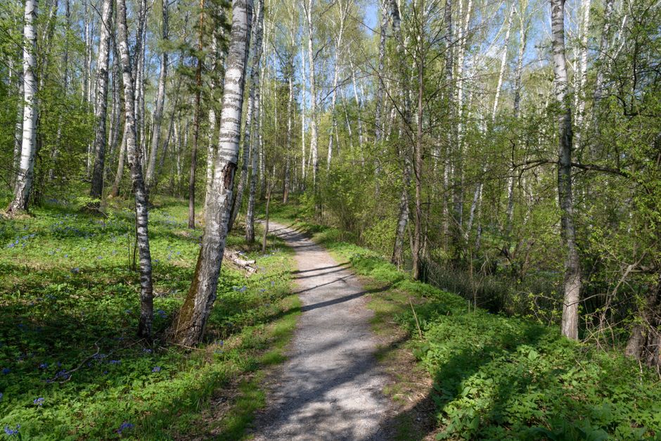A Balanced Approach To Wellness: Making It Part of Your Day