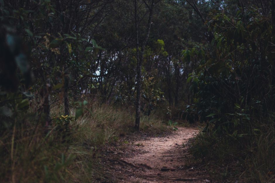A Practical Take on Tracking, Measuring And When To Stop, Without the Hype