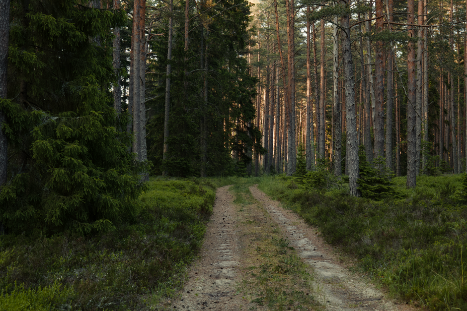 A Step-by-Step Look at Starting Over Without Starting From Scratch