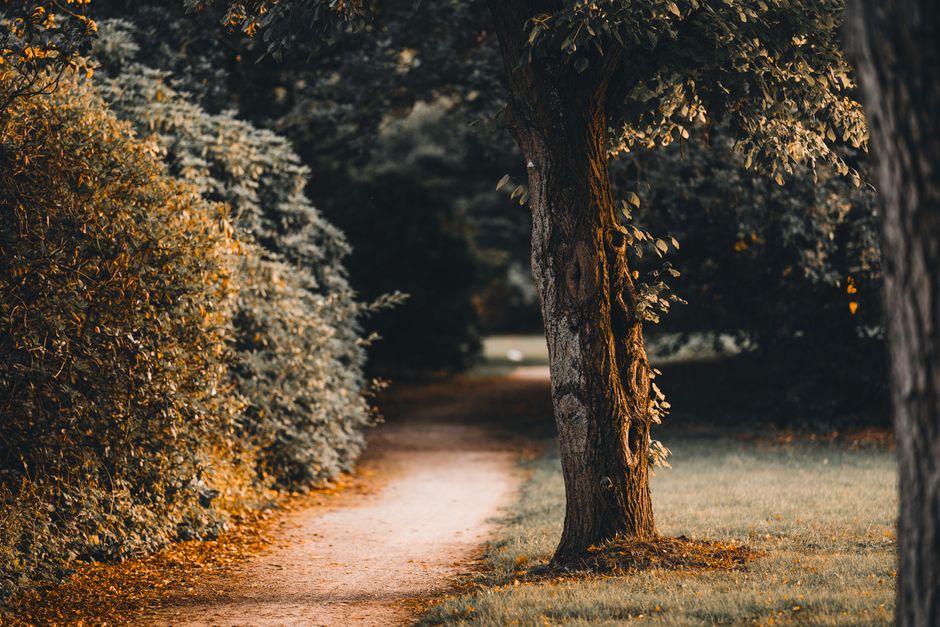 A Step-by-Step Look at The Ordinary Virtues Of Walking