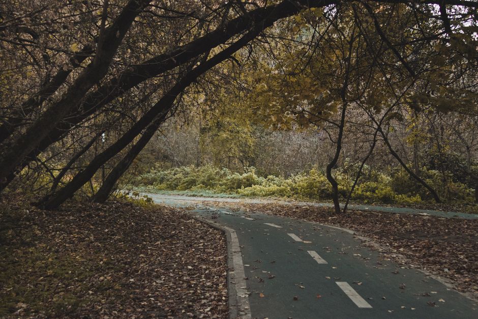 Ageing Well: A Beginner's Guide — Part 2