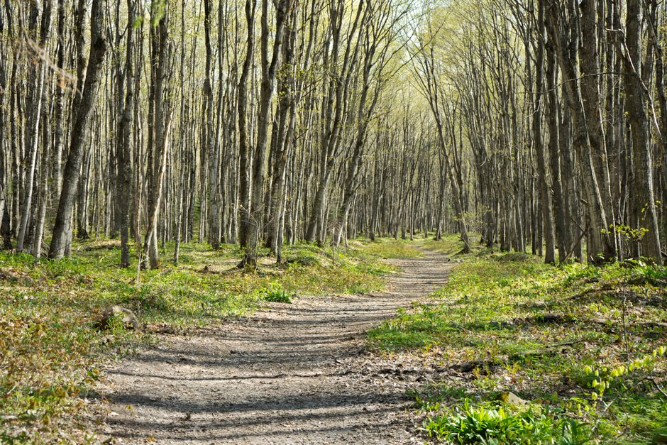 Ageing Well: A Beginner's Guide — Part 3