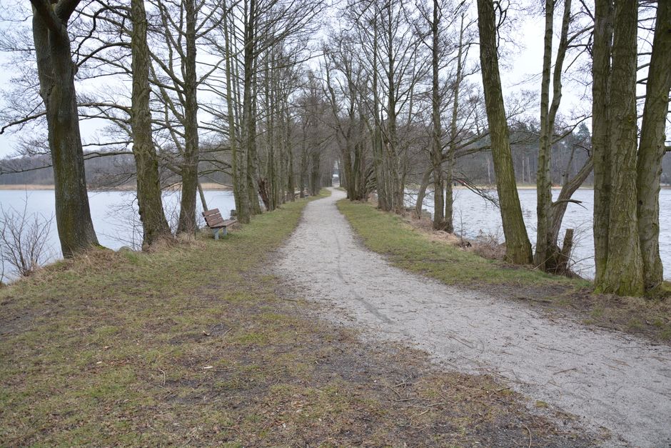 Building a Daily Routine Around Walking: The Most Underrated Exercise