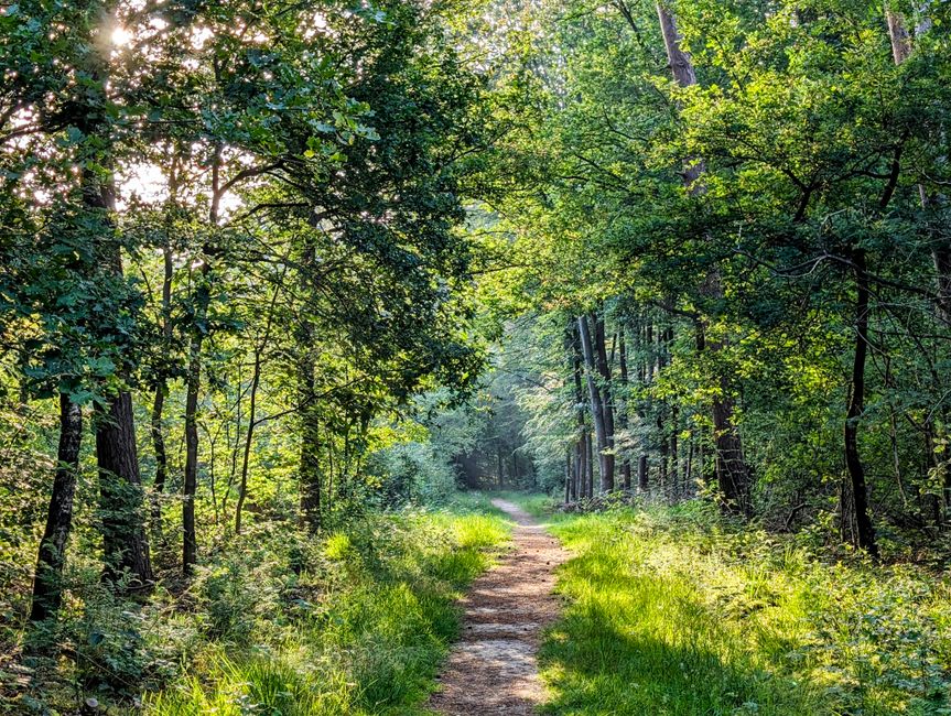 Caring For Your Overall Health: A Beginner's Guide
