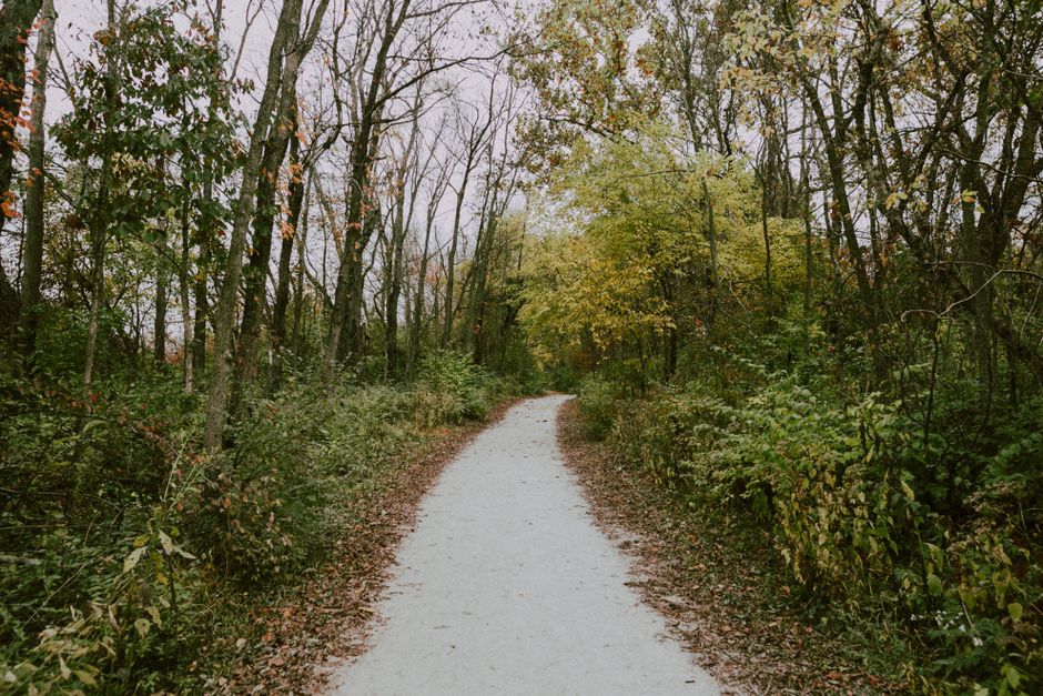 Getting Started With Ageing Well — Part 5