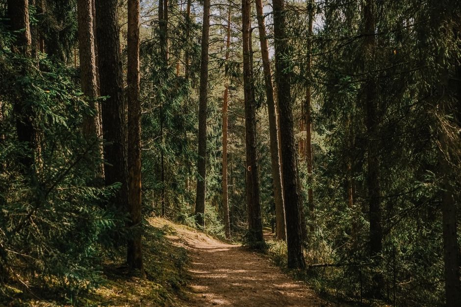 Habits: How They Actually Form When You're Short on Time