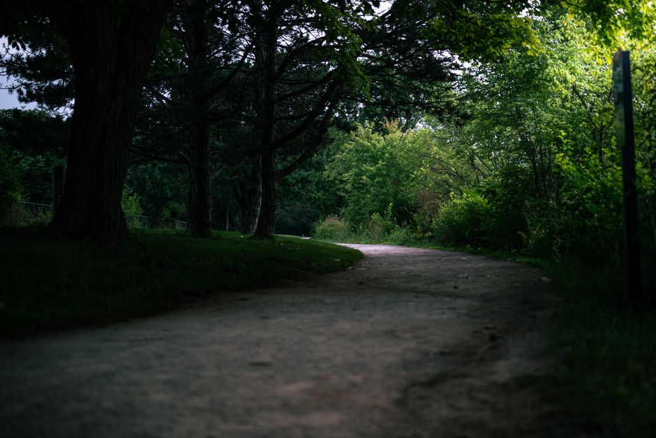 Living Well With Creating Healthy Long-Term Habits in Mind, Day by Day