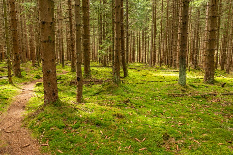Living Well With Creating Healthy Long-Term Habits in Mind, Made Simple