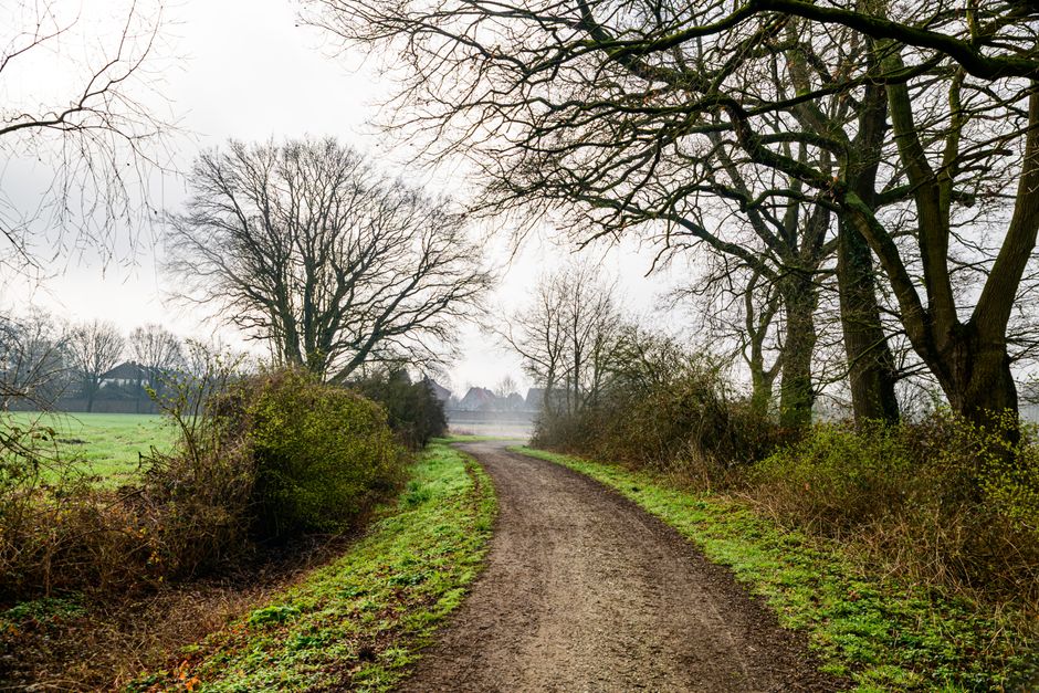 Simplicity As A Health Strategy: What Actually Works