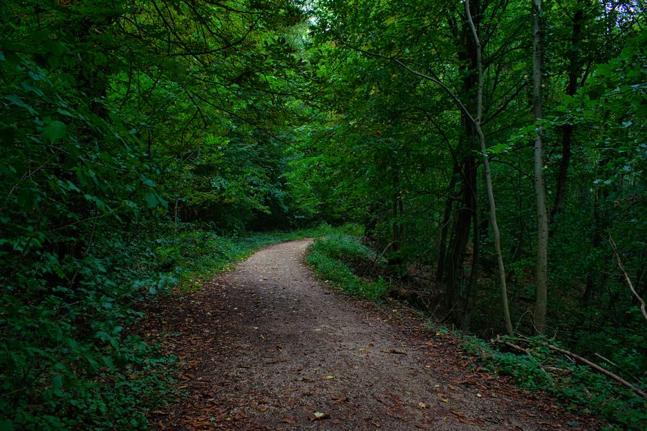 Simplicity As A Health Strategy When You're Short on Time