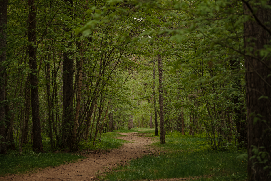 Starting Again After A Setback: A Simple Checklist