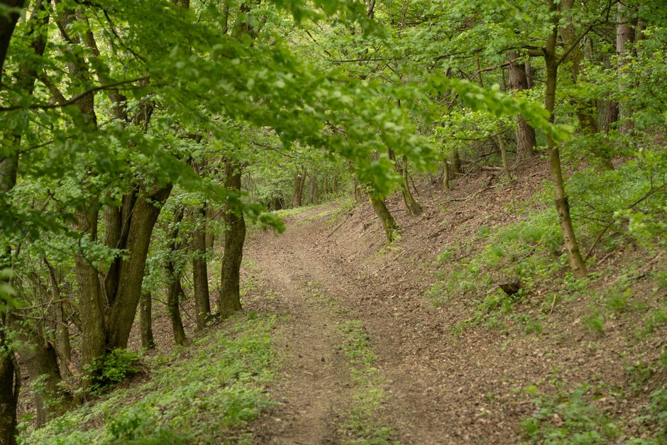 The Case for Living A Healthy Lifestyle, Without Overthinking It