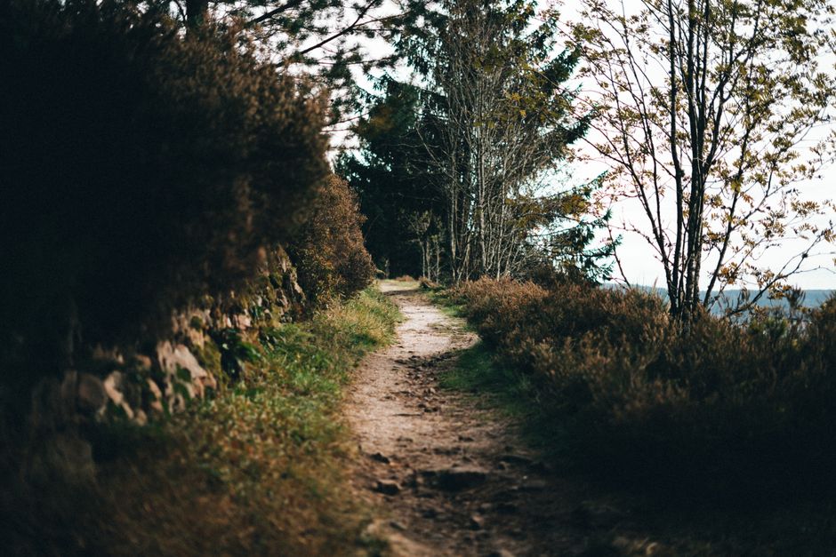 The Habit Of Moving Through The Day: A Simple, Practical Guide — Part 2