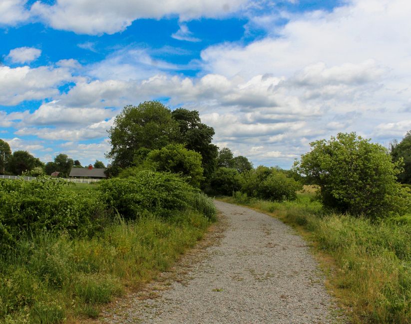 The Pleasure Principle In Healthy Living: Practical Steps You Can Use — Part 4