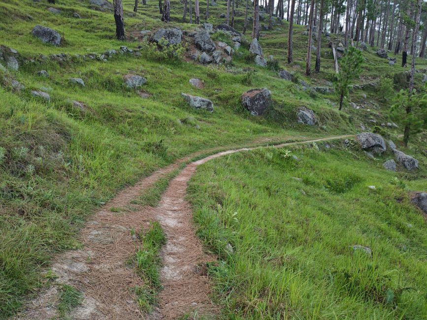 The Truth About A Balanced Approach To Wellness