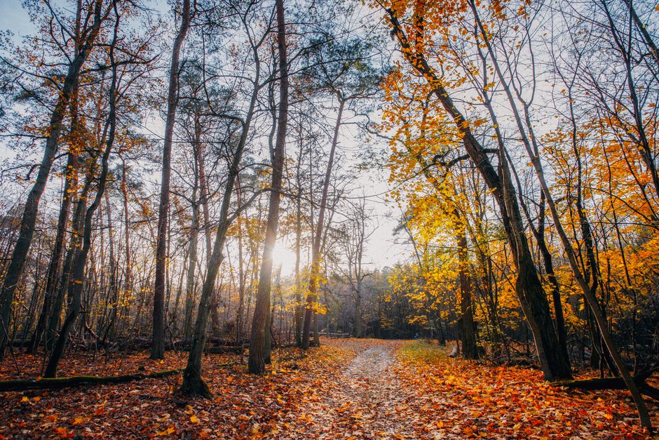 The Truth About Recovery, Rest Days And Overdoing It