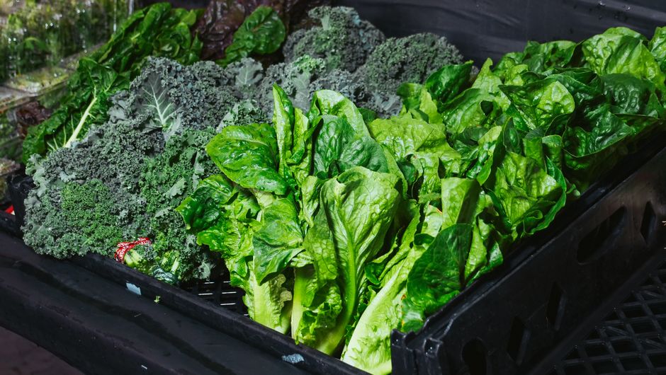 The Value Of Prevention: Common Mistakes to Avoid