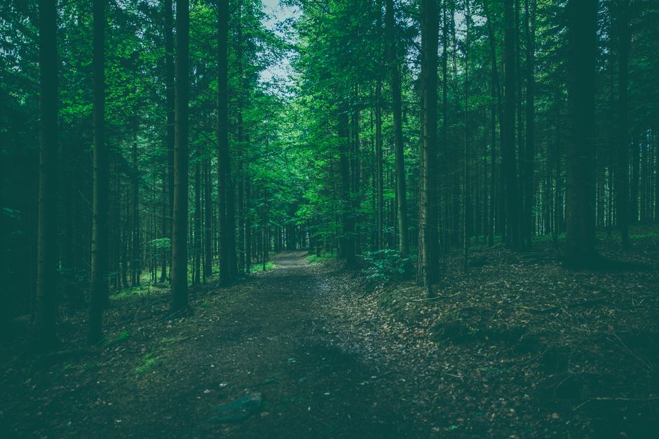 Understanding Health Over A Lifetime, Not A Season in Plain Terms