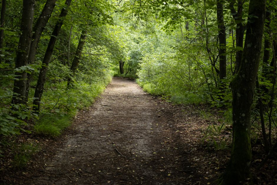 Wellness At Different Life Stages: Making It Part of Your Day