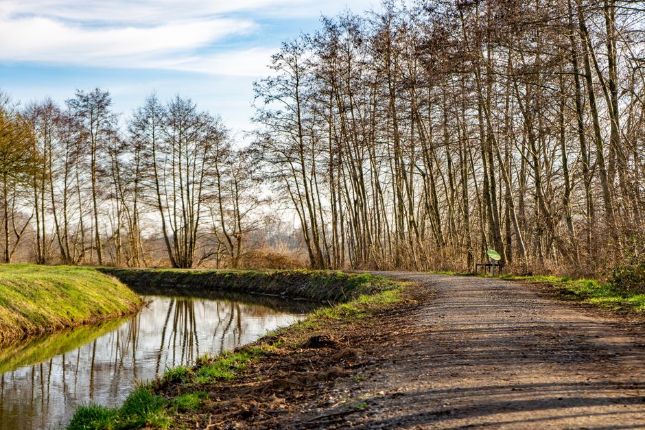 Wellness At Different Life Stages: Where to Start