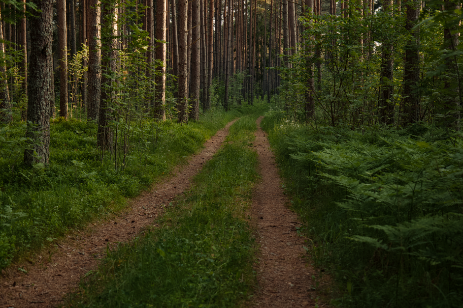 Where People Go Wrong With Wellness At Different Life Stages — Part 5