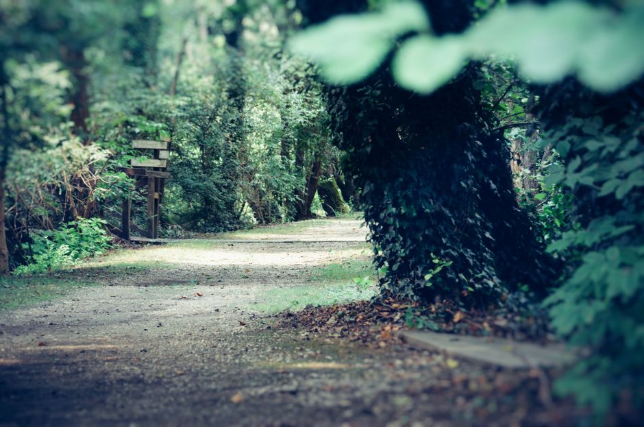 Working Building Positive Daily Routines Into a Busy Week, Minus the Overwhelm